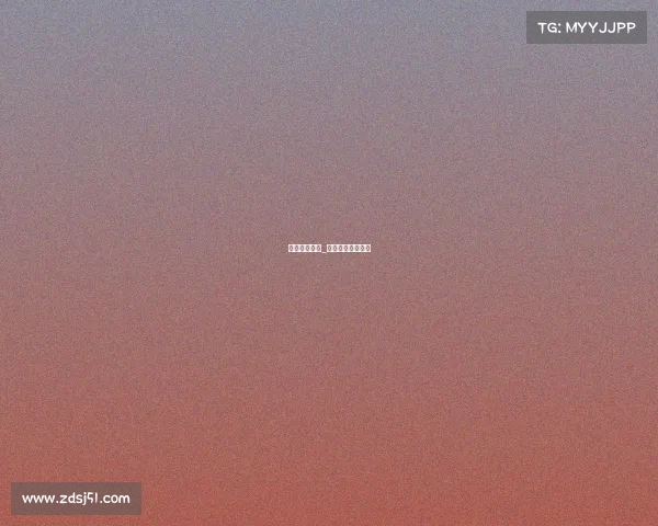 火箭赛事情况_火箭赛事情况介绍